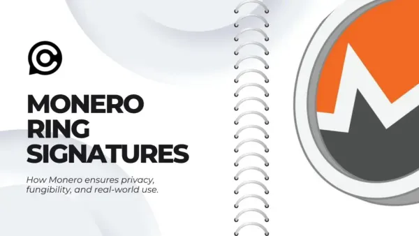 How Monero's Ring Signatures Provide True Transaction Privacy